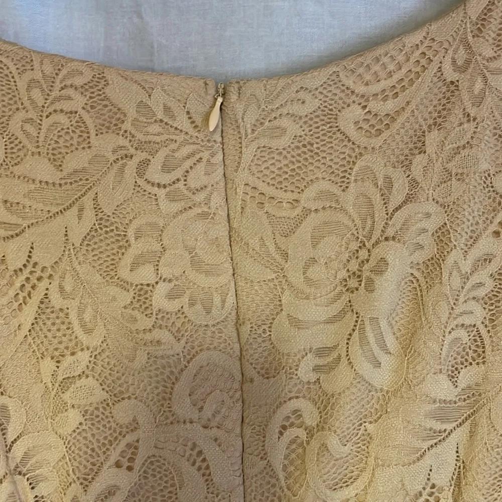 Berry Love Lace Dress - Picture 7 of 8
